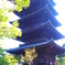 東寺