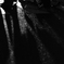 横断歩道で行きかう