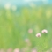 ポカポカ陽気