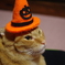 昨日はハロウィンってことで。