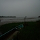 雨