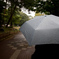 雨の中