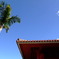 沖縄の青い空