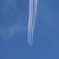 IMGP6224