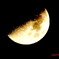 Half Moon