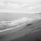 モノクロの海