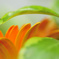 resize0306