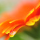 resize0309