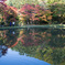 水面の紅葉3