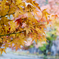 20131104-_DSF7561