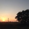 田舎 夕暮れ