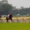 競馬来た！！！