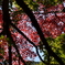 kamakura_08