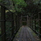 木橋