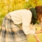 「秋を探しに」