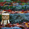 Found a little Autumn!!!!