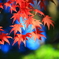 赤青緑