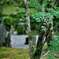 2013.10.27光明禅寺⑩