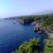 伊東の海