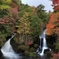 龍頭の滝2009