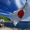 日本晴れ！