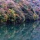 湖畔の彩