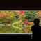 紅葉風景@昭和記念公園