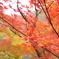 2013　gunma