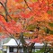 2013　gunma3