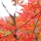 2013　gunma4