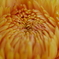 P1070257
