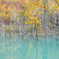 yellow/blue..