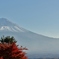 お正月のはがきにどうでしょう？