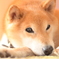 寝起きの一枚