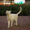DSC03750
