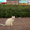 DSC03769