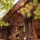 AO-MOMIJI SUIROKAKU