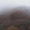 霧の峠道