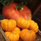 Halloweeeeen!!