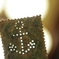 photo_2913272