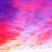空が綺麗だと聞いたので