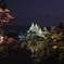 兼六園ライトアップ
