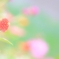 ぬくもり