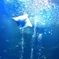 京都水族館　2013-11-16 13.21.43