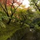 東福寺