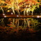 逆さ紅葉
