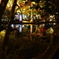 DSC00885