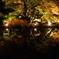 DSC00890