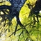 green→yellow