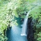 深緑の中の滝